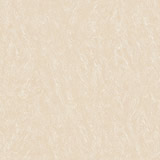 SO6006