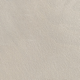 LIGHT GRAY STRUCTURE