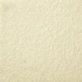 FG3006A